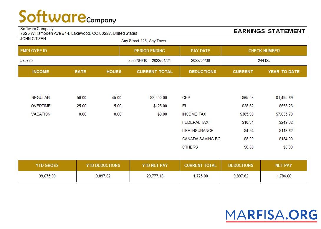 Printable Software company paystub example
